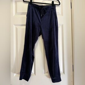 Anthropologie Velour Joggers